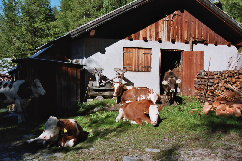 Lanser Alm