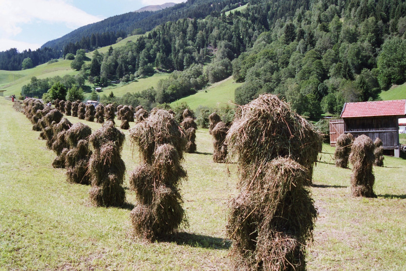 Sellrain-valley with 'Heumandln'